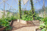 Greenhouse Dome | Clear Geodesic Dome | Phoenix Domes